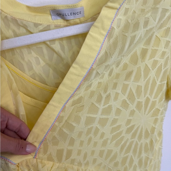 RARE French Short Sleeve Sheer Dress with Slip! By Opullence Paris. Size small. - Picture 5 of 9